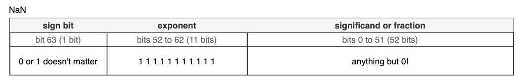 The bit pattern for a floating point NaN